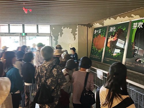 ブログ記事「国際テナガザルの日」のサムネイル画像
