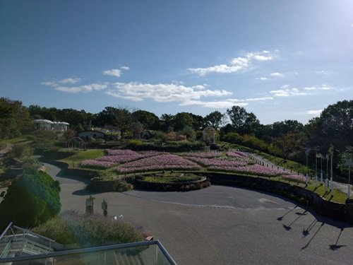 お花畑展望休憩所よりお花畑を望む.jpg