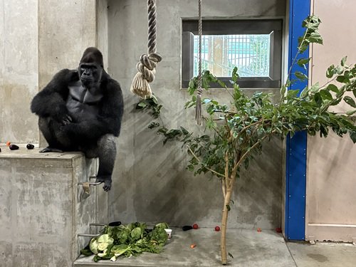 キヨマサと桑.jpg