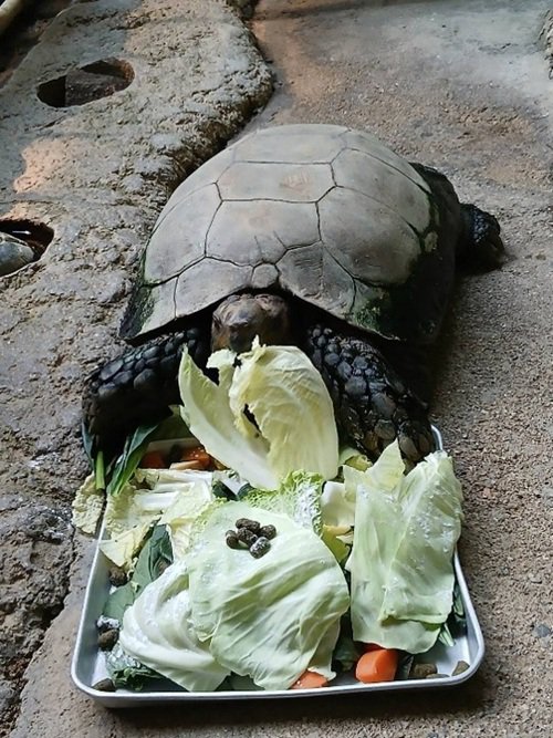 ブログ記事「よく食べ、よく浸かる」のサムネイル画像