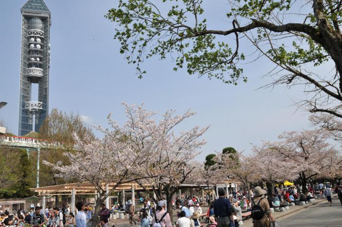 ①園内(動物園).jpg