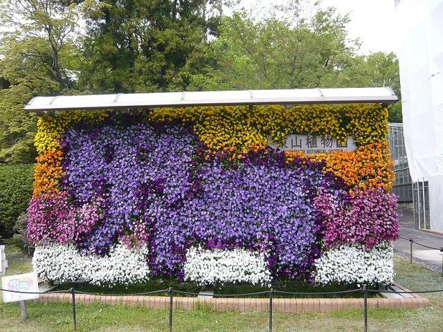 ブログ記事「植物園の立体花壇」のサムネイル画像