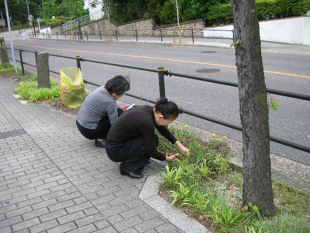 道の雑草取りをしました.jpg