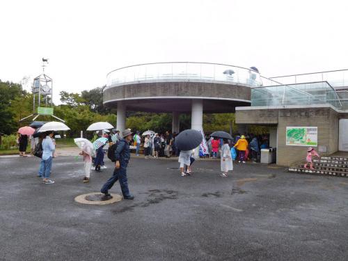 ブログ記事「平成３０年度花いっぱいプロジェクト秋花壇の植え付けを行いました」のサムネイル画像