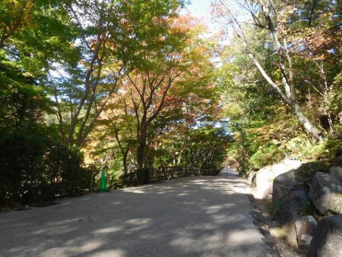 ブログ記事「『圧倒的じゃないか』」のサムネイル画像