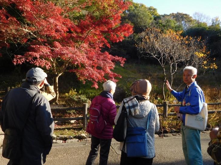 ⑦【植物園長から紅葉について解説】.jpg