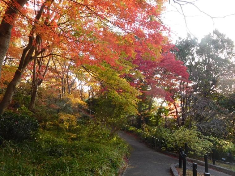 ①【人の手がはいらなければ、いずれはこの景色は見られなくなる。】.jpg