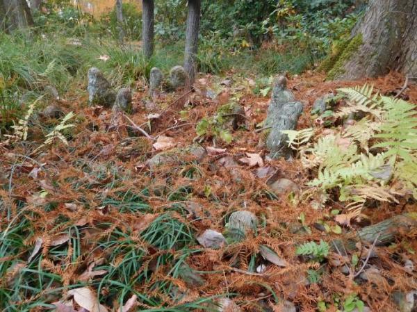 ブログ記事「なんだ‼　君は？　第二章」のサムネイル画像