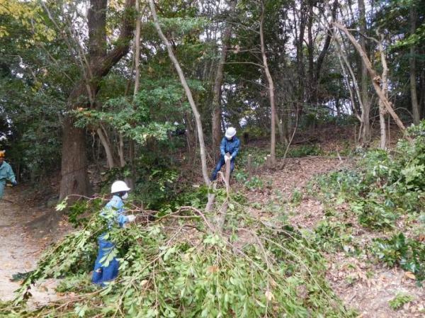 ④【こんな大きな木も伐採しました。】.jpg