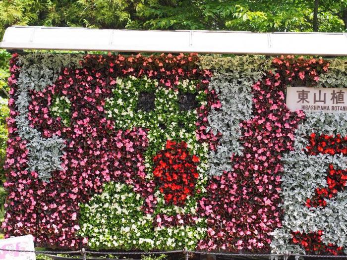 ブログ記事「植物園は公園なの？」のサムネイル画像