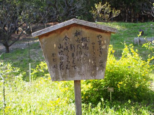 【「蝦（かはづ）鳴く神名火（かむなび）川に影見えて今から咲くらむ山吹の花」　厚見　王（あつみのおおきみ）】.jpg