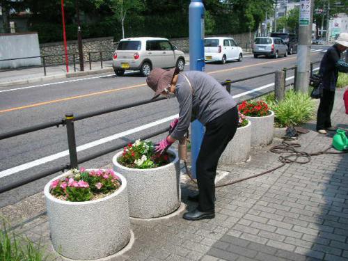 ていねいに水やり.JPG