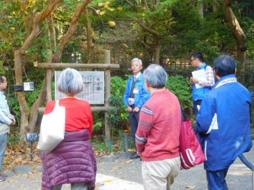 【植物園長が葉っぱの紅葉する仕組みについて解説しました。】.jpg