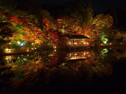 ブログ記事「もみじ狩り・紅葉ライトアップを開催しています。」のサムネイル画像