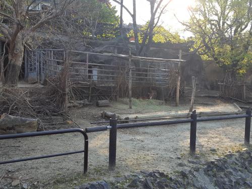 写真1.jpg