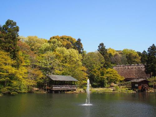 写真⑦【奥池周辺】.jpg