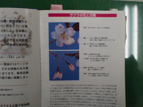 【桜の花の部位の説明：日本の桜：勝木俊雄著（Gakken）より抜粋】.jpg