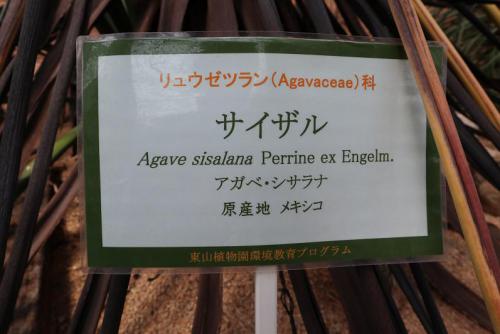 ９.JPG