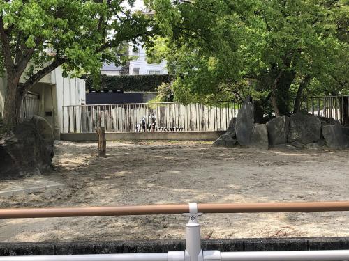 ブログ記事「シマウマのシマシマ模様にはこんな効果が。」のサムネイル画像