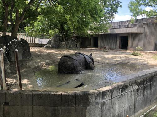ブログ記事「暑いときはこれにかぎるね。」のサムネイル画像