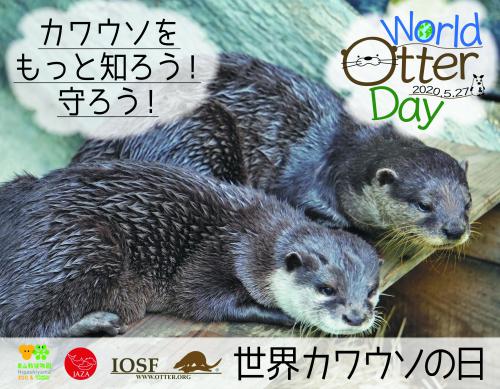 ブログ記事「カワウソをもっと知ろう、守ろう！！～世界カワウソデー２０２０～」のサムネイル画像