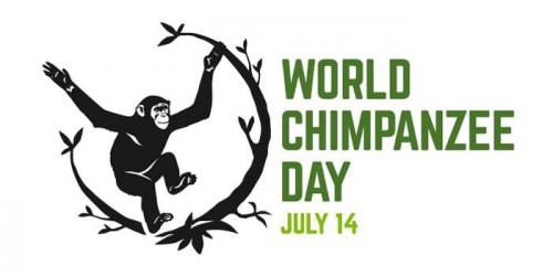 「世界チンパンジーの日」ロゴです。.JPG
