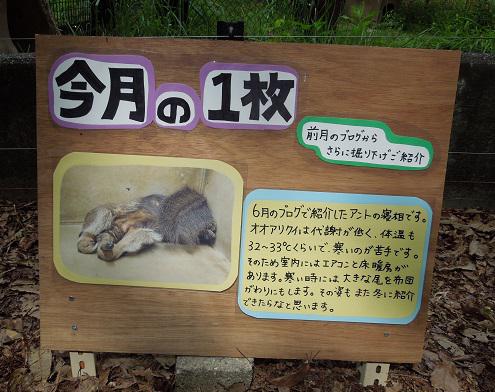ブログ記事「今週の１枚　その⑤」のサムネイル画像