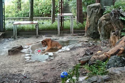 ブログ記事「クンデよかったね！」のサムネイル画像