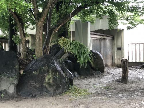 ブログ記事「この青草なんの青草きになる青草」のサムネイル画像