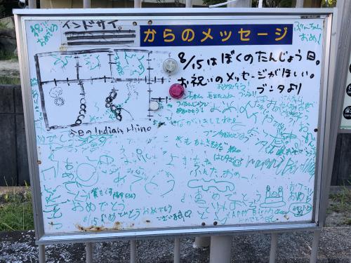 ブログ記事「インドサイのブンタ君の11回目の誕生日」のサムネイル画像
