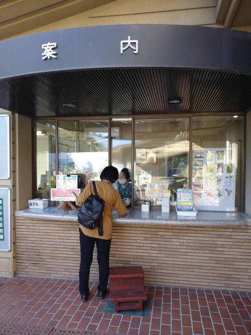 ブログ記事「植物園のボランティア（名古屋園芸同好みどり会）」のサムネイル画像