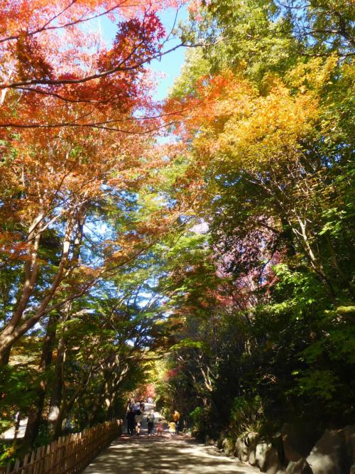 合掌線（也有園）.JPG