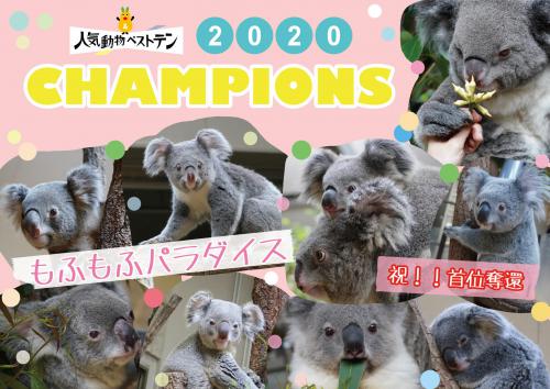 ブログ記事「お礼！首位奪還！！！」のサムネイル画像
