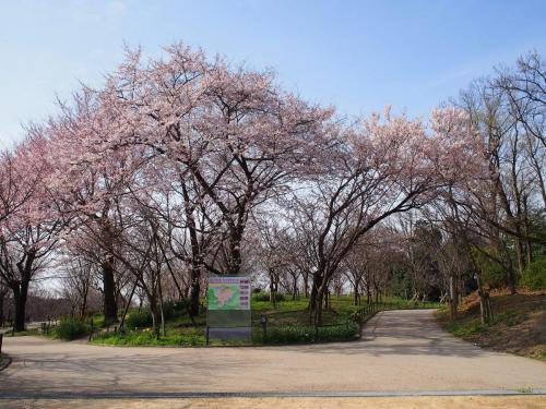 ブログ記事「植物園の四季。」のサムネイル画像