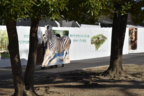 今年はシマウマが脱出したという想定でした.JPG