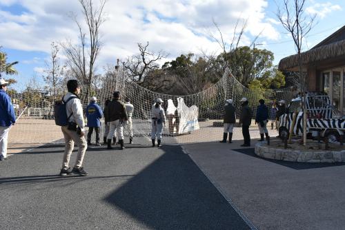 シマウマの行く手をふさぐ捕獲網.JPG