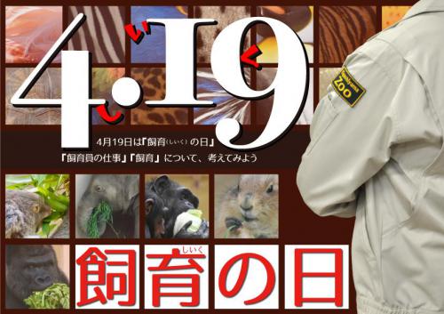 ブログ記事「飼育の日2021〜コロナに負けるな！飼料室のお仕事紹介〜」のサムネイル画像