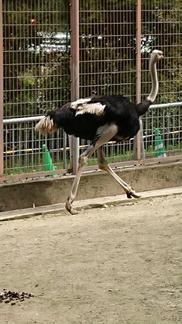 ブログ記事「心のつかみ方、模索します」のサムネイル画像