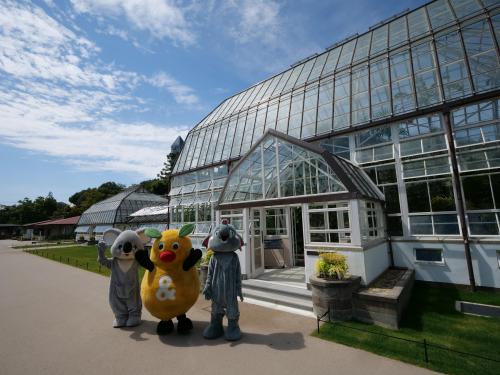 ブログ記事「植物園温室前館へズーボと仲間たちが遊びにきた！！」のサムネイル画像