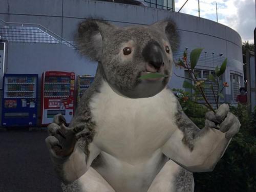 ブログ記事「フォトモザイクが完成するまでの新しい東山動植物園の楽しみかた」のサムネイル画像