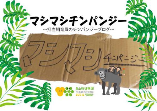 ブログ記事「マシマシチンパンジー『第77回〜ダンボール大マシマシ〜』」のサムネイル画像