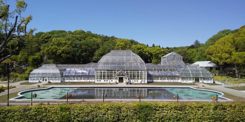 ブログ記事「椙山女学園大学との連携による温室前館紹介動画の掲載のお知らせ！」のサムネイル画像