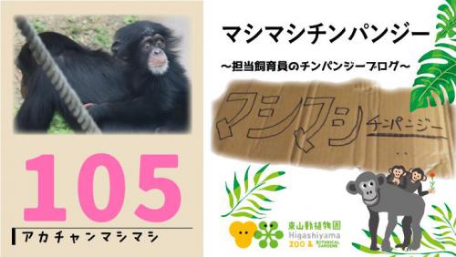 ブログ記事「マシマシチンパンジー『第105回～アカチャンマシマシpart19〜』」のサムネイル画像
