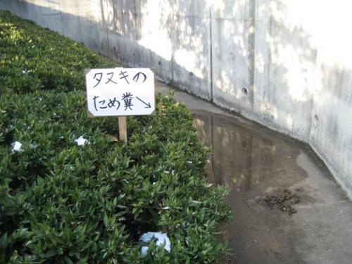 ため糞看板写真１.JPG