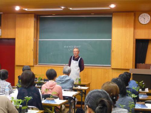 0508春の山野草寄せ植え.JPG