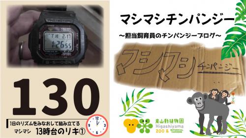 ブログ記事「マシマシチンパンジー『第130回〜1日のリズムをみなおして組み立てるマシマシ～13時台のリキ①〜』」のサムネイル画像