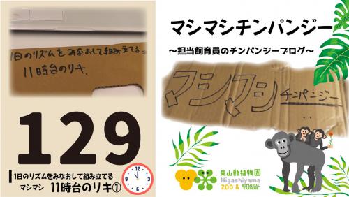 ブログ記事「マシマシチンパンジー『第129回〜1日のリズムをみなおして組み立てるマシマシ～11時台のリキ①〜』」のサムネイル画像