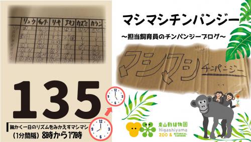 ブログ記事「マシマシチンパンジー『第135回 細かく一日のリズムをみかえすマシマシ（1分間隔）8時から17時』」のサムネイル画像