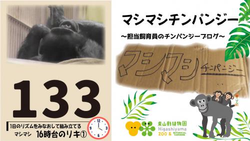 ブログ記事「マシマシチンパンジー『第133回〜1日のリズムをみなおして組み立てるマシマシ～16時台のリキ①〜』」のサムネイル画像