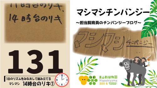 ブログ記事「マシマシチンパンジー『第131回〜1日のリズムをみなおして組み立てるマシマシ～14時台のリキ①〜』」のサムネイル画像